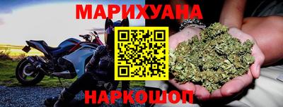 сатива Малгобек